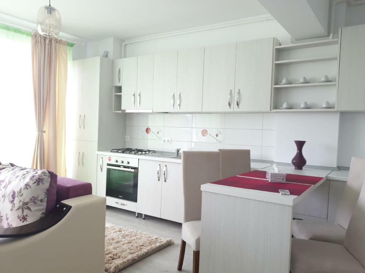 Apartament Coresi Brasov Ngoại thất bức ảnh